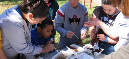 Students using the Leaf Pack Experiment kit