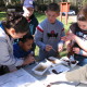 Students using the Leaf Pack Experiment kit