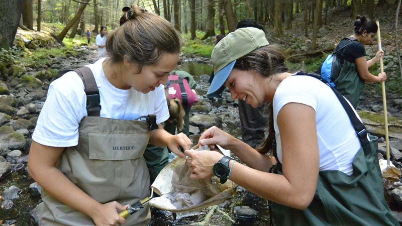 Two women wearing waders look at aquatic insects they collected from a stream.