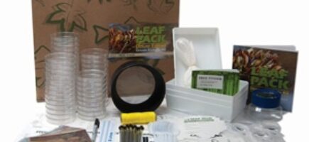 Photo of the Leaf Pack Experiment Stream Ecology Kit