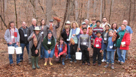 Slimy Leaves for Healthy Streams: A Training in the Leaf Pack Network