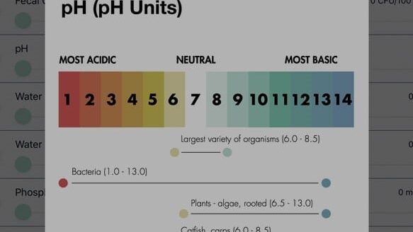 The pH screen in the Water Quality mobile app.
